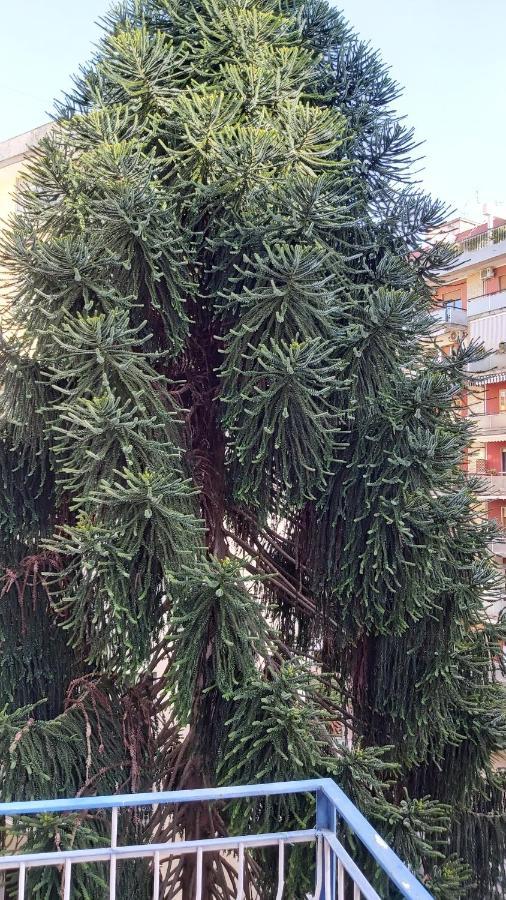 Apartamento La Casa Del Cedro Nápoles Exterior foto